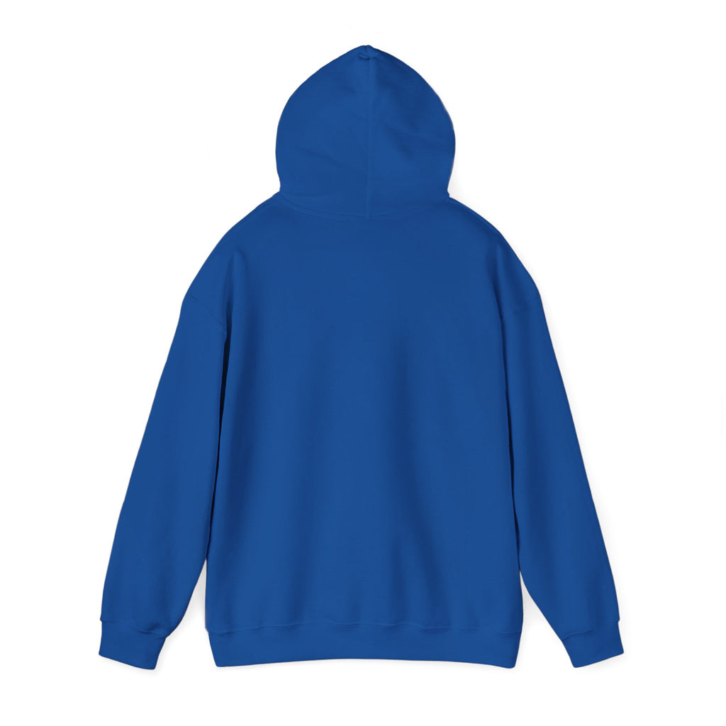Puerto Rico Flag Hoodie – Retro Puerto Rican Pride Pullover