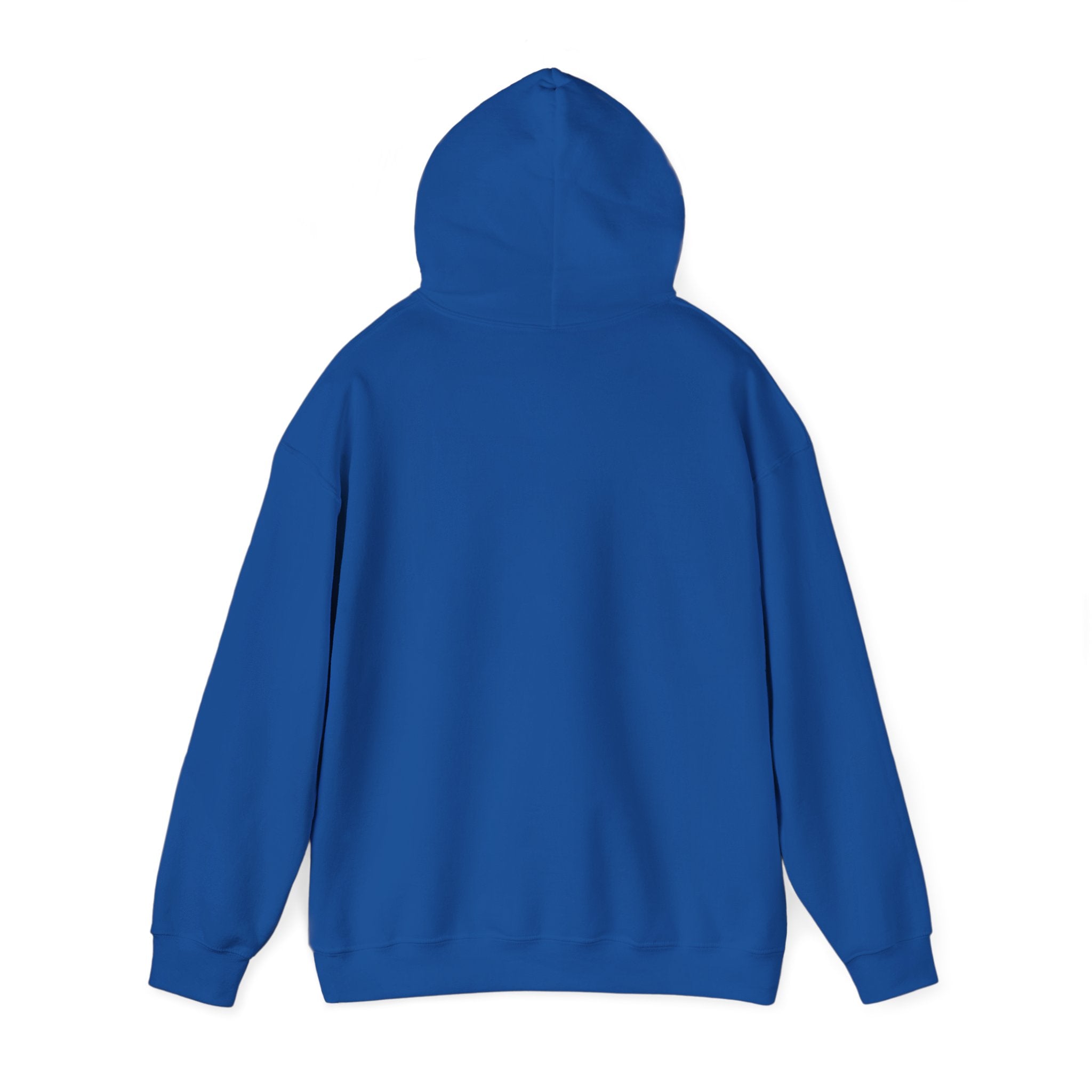 Puerto Rico Flag Hoodie – Retro Puerto Rican Pride Pullover