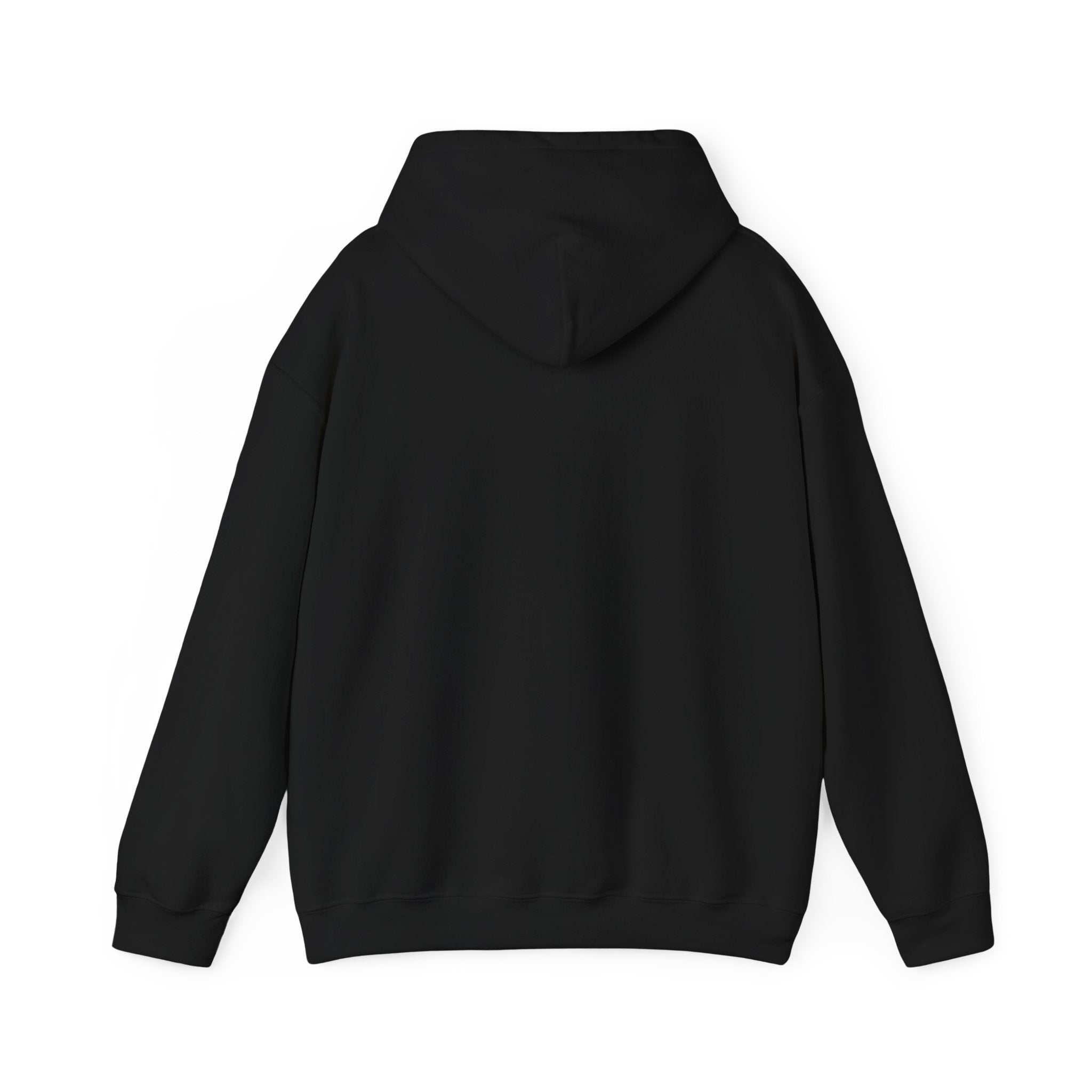 Puerto Rico Flag Hoodie – Retro Puerto Rican Pride Pullover