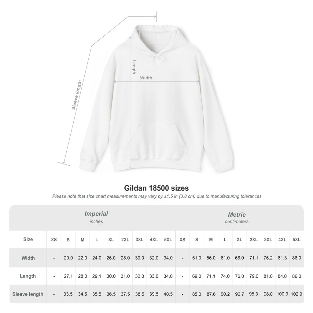Nuyorican NYC Skyline Hoodie – Puerto Rican Pride Sweatshirt with Flag