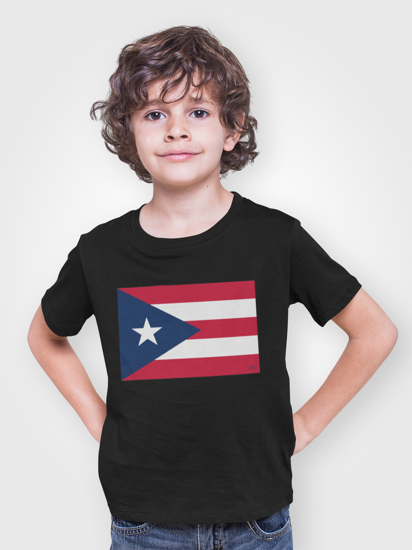Puerto Rico Flag T-Shirt — Puerto Rican Pride Tee, Independence Day & Heritage Shirt