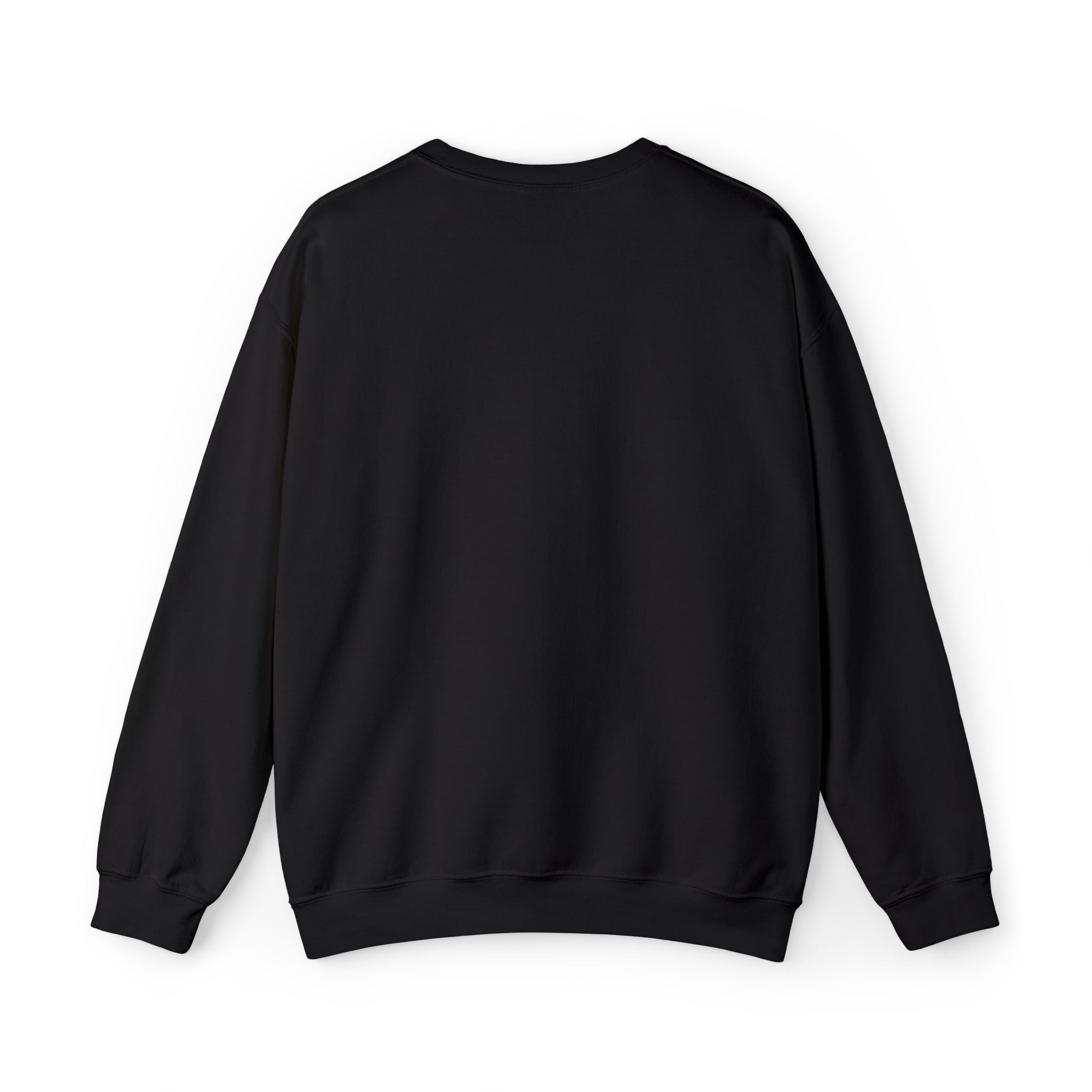 Puerto Rico Flag Graphic Crewneck Sweatshirt