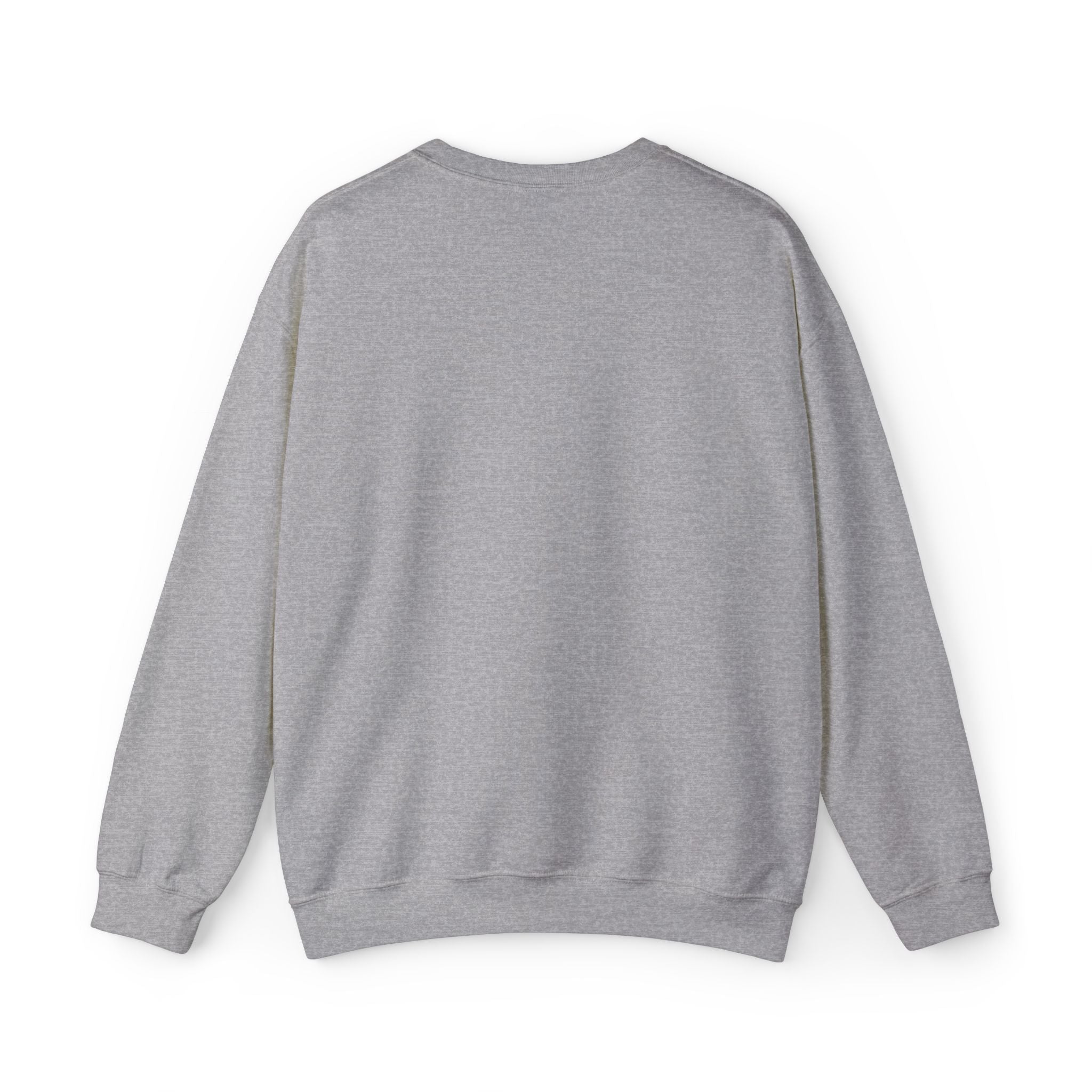 Puerto Rico Flag Graphic Crewneck Sweatshirt