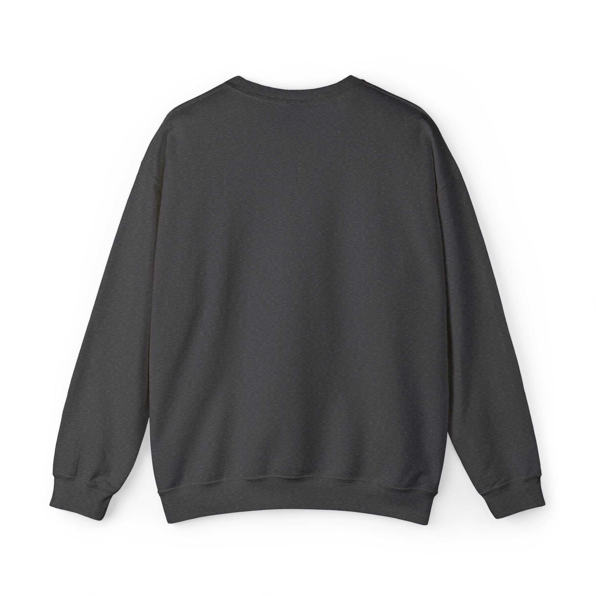 Puerto Rico Flag Graphic Crewneck Sweatshirt
