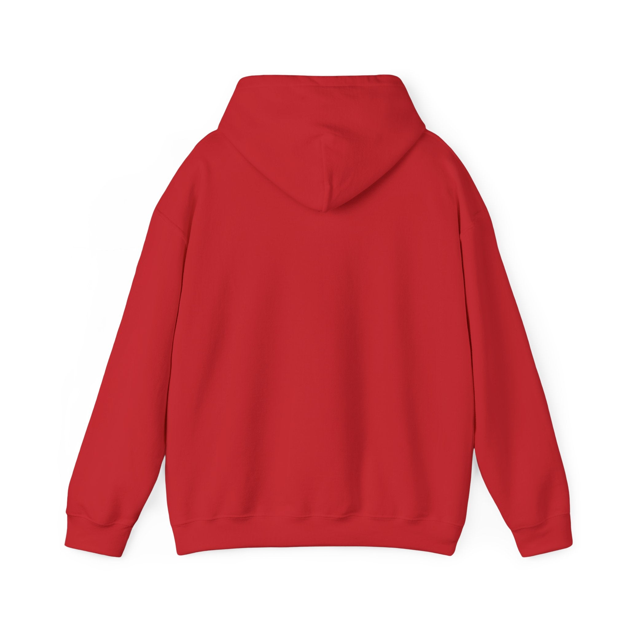 Boricua Bowl Hoodie — Puerto Rican Flag Football Logo Sweatshirt