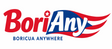 Boricua Anywhere logo with red, white, and blue colors on a white background